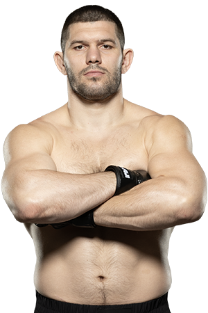 Fighter