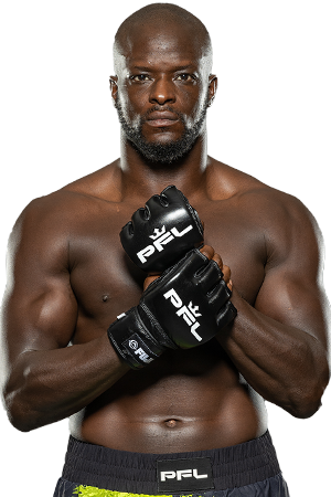 Fighter