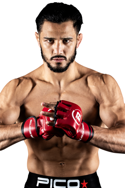 Fighter