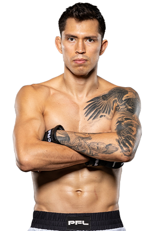 Fighter