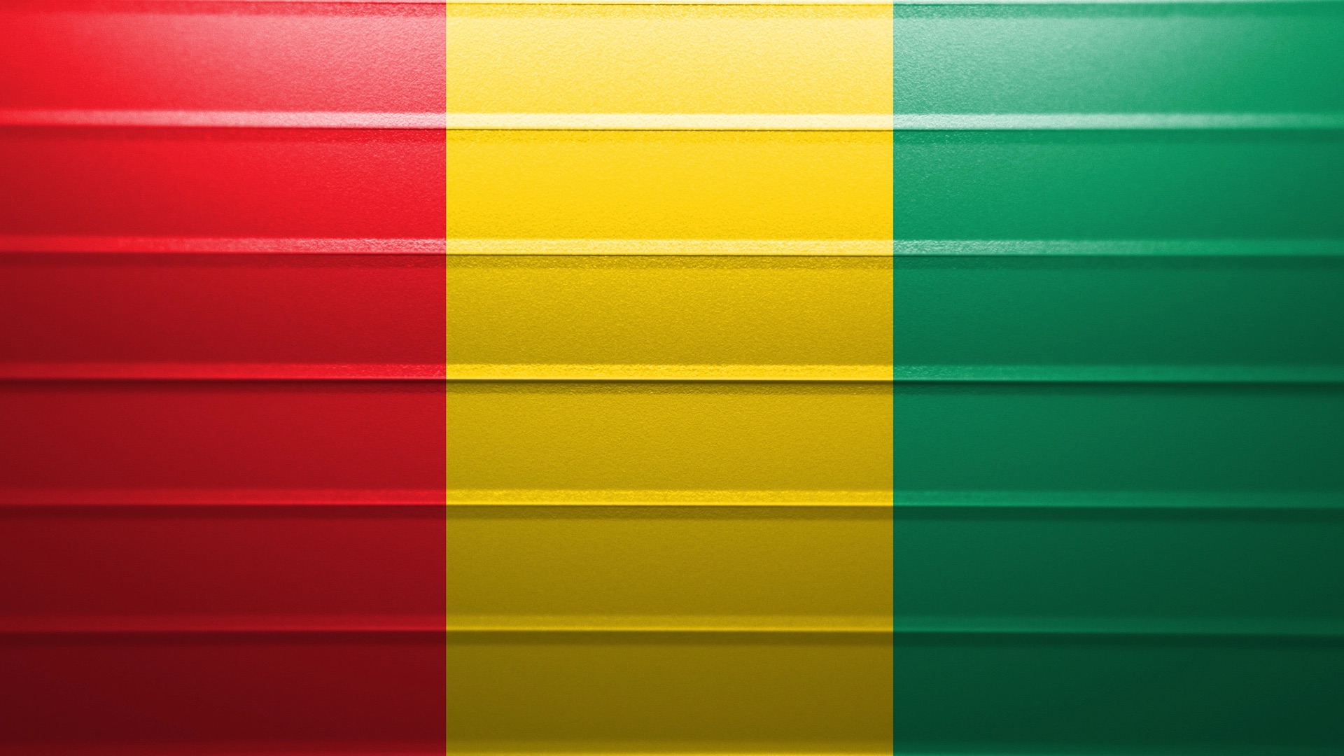 Fighter Nation Flag