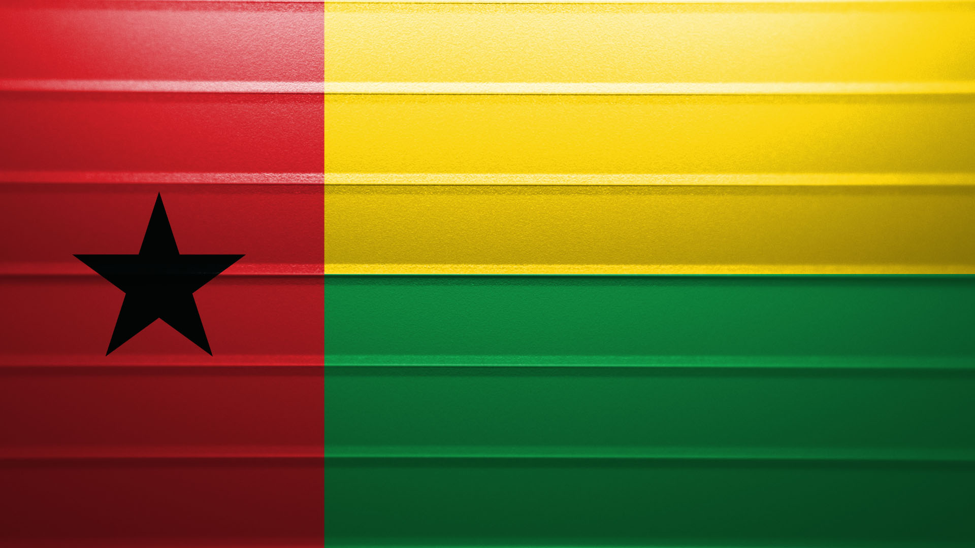 Fighter Nation Flag