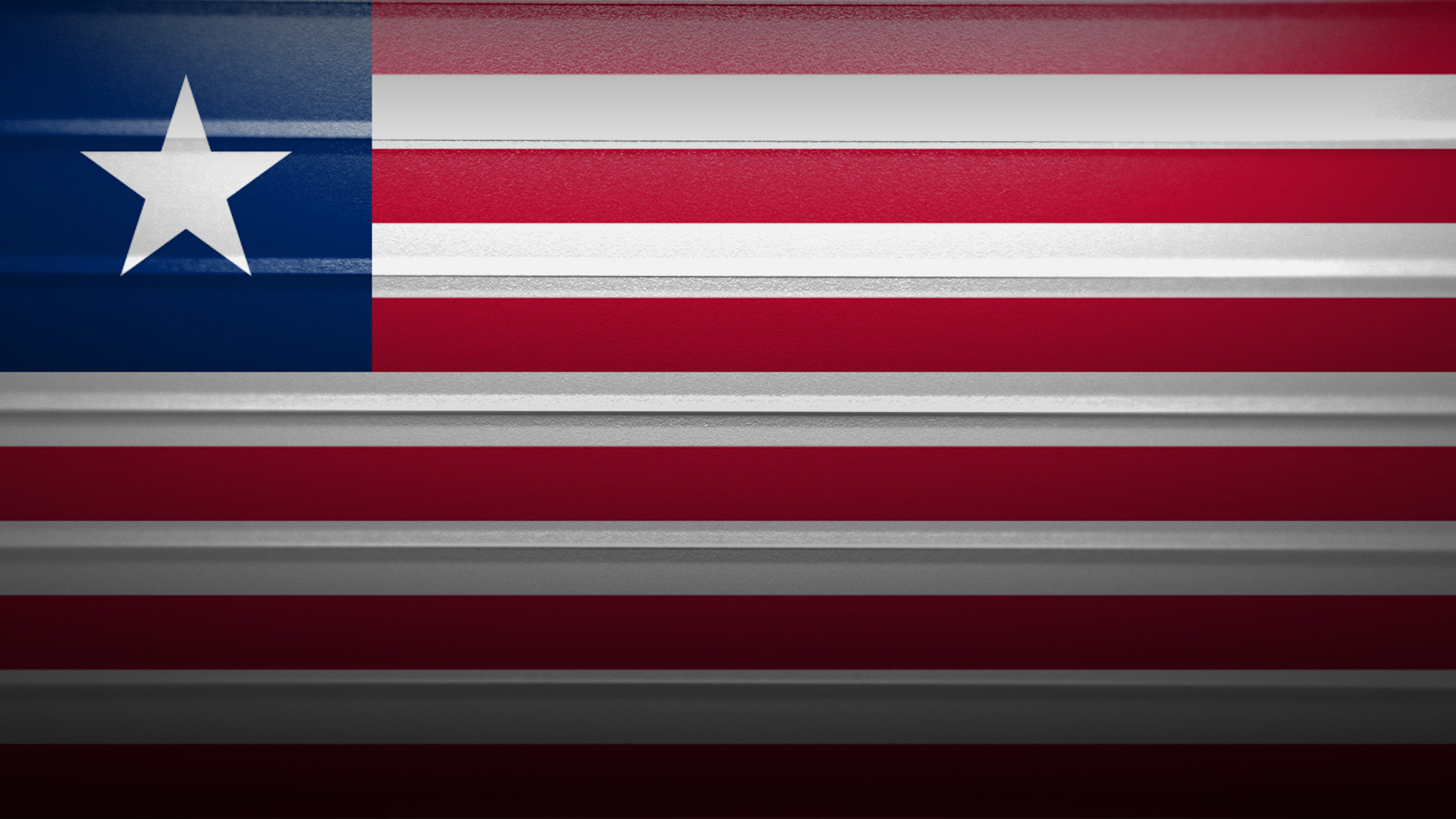 Fighter Nation Flag