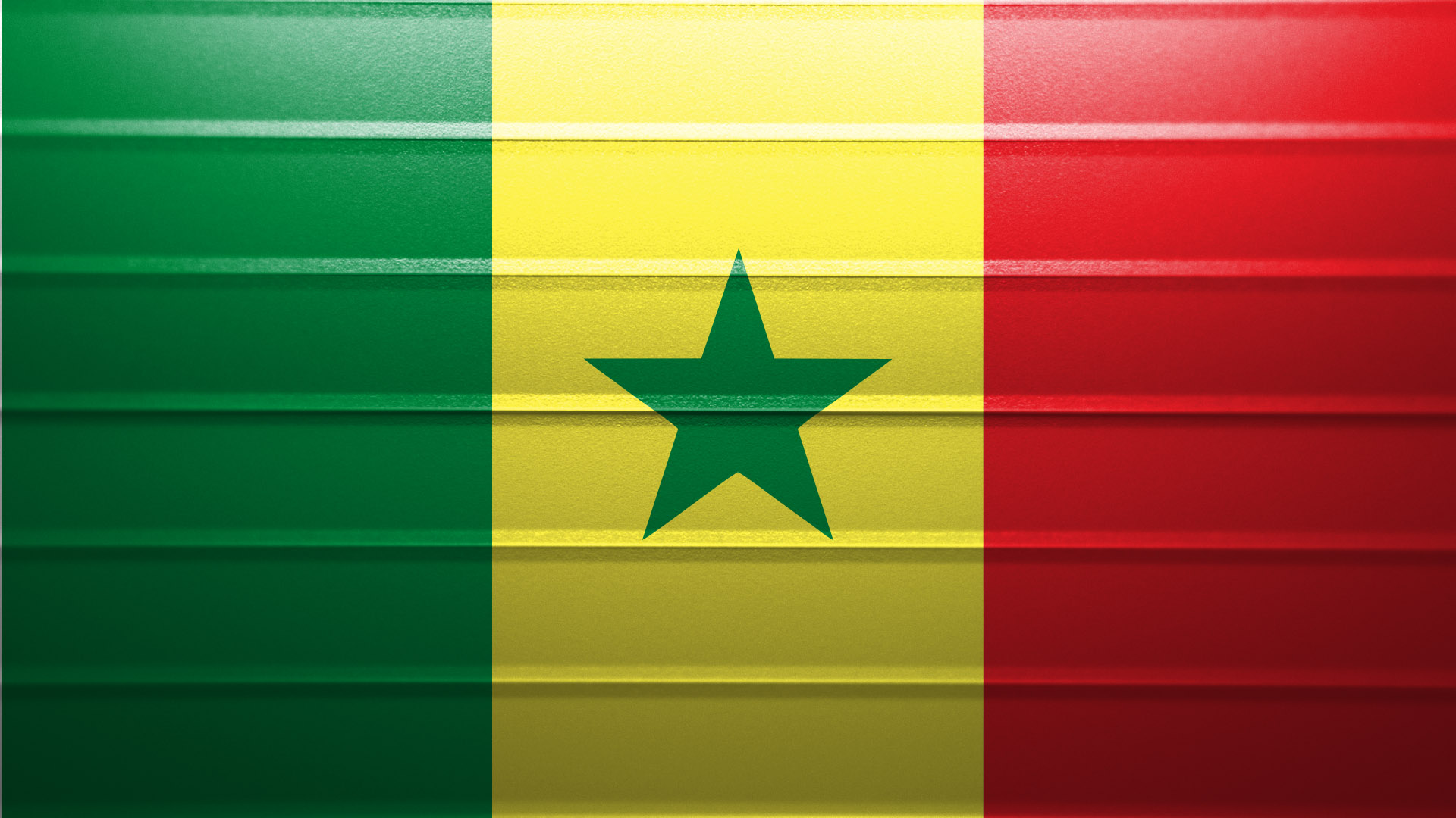 Fighter Nation Flag