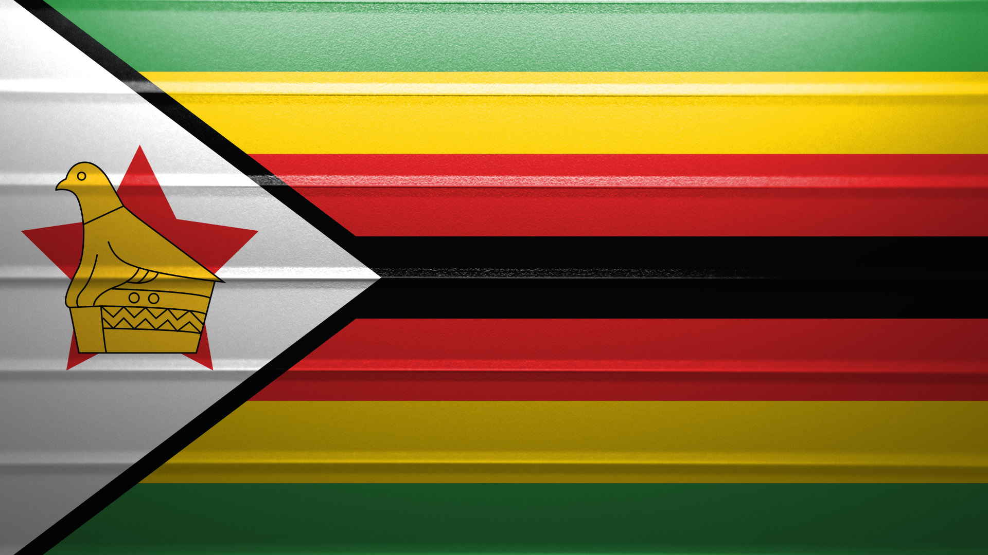 Fighter Nation Flag