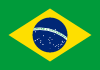 Fighter Flag